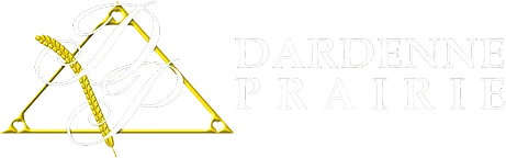City of Dardenne Prairie, Missouri logo