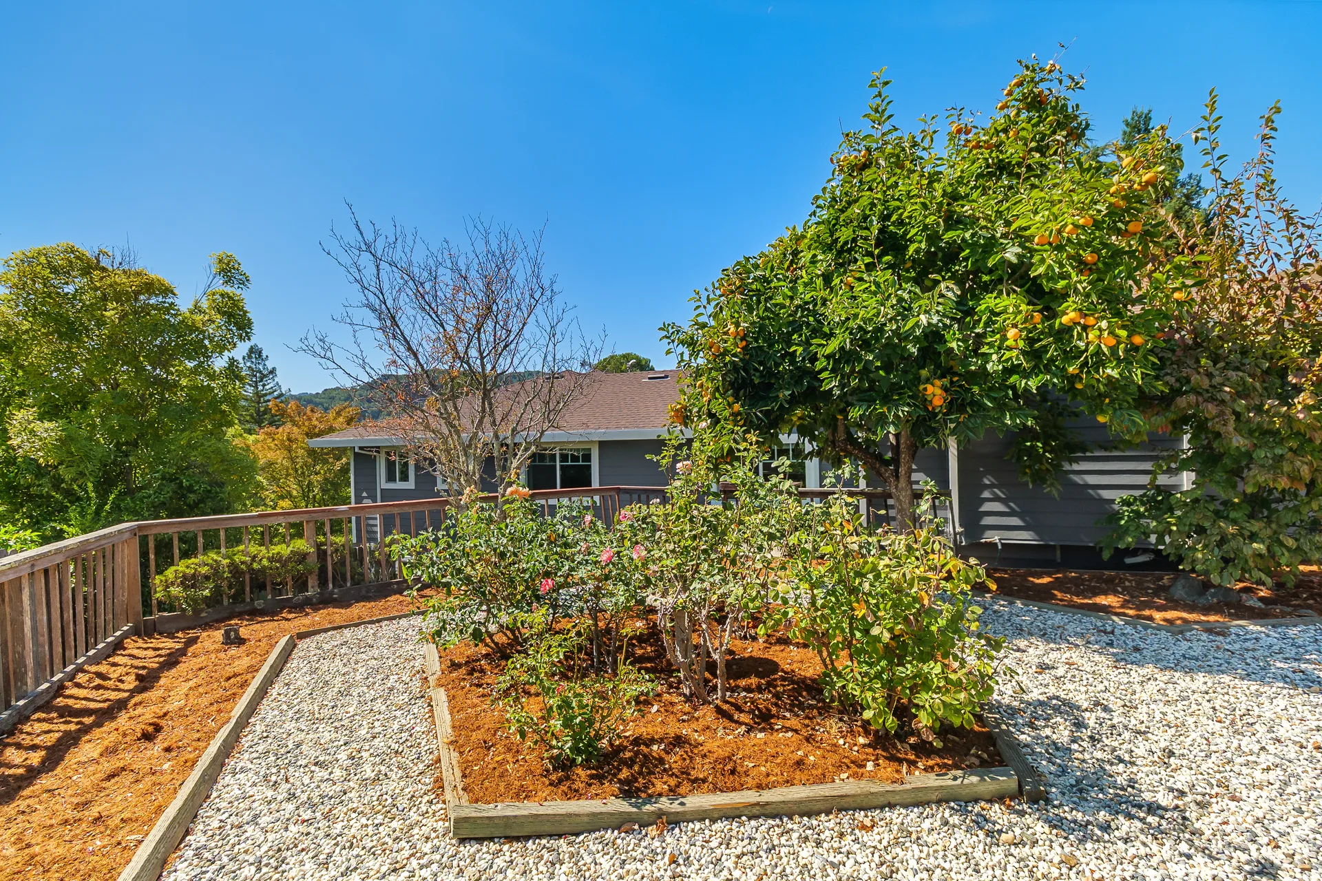 Landscaped garden with raised rose bed, fruit tree and gravel paths near the rear facade