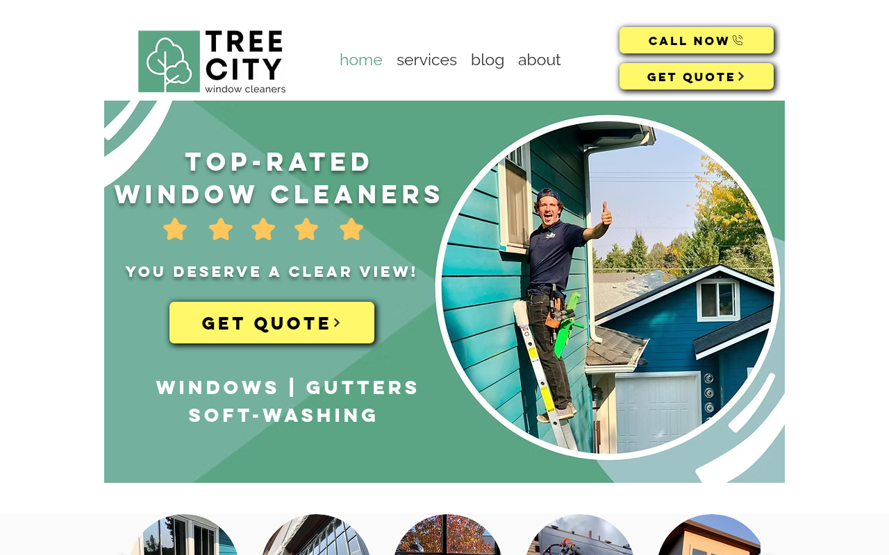 Tree City Window Cleaners website